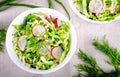 Fresh vegetables salad with cabbage, radishes. dill and greens Royalty Free Stock Photo