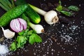 Fresh vegetables for salad and canning. Onion, garlic, cucumber and spices