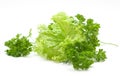 fresh vegetables (salad, lettuce) Royalty Free Stock Photo