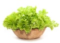 fresh vegetables (salad, lettuce) Royalty Free Stock Photo