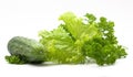 fresh vegetables (salad, lettuce) Royalty Free Stock Photo