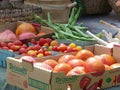 Fresh Vegetables for Sale at a Farmers Market Tomatoes, String Pole Beans and Onions Royalty Free Stock Photo