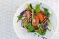 Fresh vegetables saled served in a white bowl Royalty Free Stock Photo