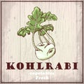 Fresh vegetables sketch background. Vintage hand drawing illustration of a kohlrabi