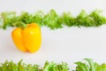 Fresh vegetables - sweet yellow pepper and leaves of frillis. Bell peppers. Royalty Free Stock Photo