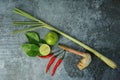 Fresh vegetables for Thai spicy soup or Tom Yum ingredients on concrete table Royalty Free Stock Photo