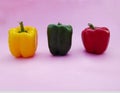 Fresh vegetables Three sweet Red  Yellow  Green Peppers  capcicum isolated closeup image Royalty Free Stock Photo