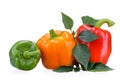 Three sweet red, yellow, green peppers lying on green leaves, isolated on white background Royalty Free Stock Photo