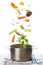 Fresh vegetables falling into a pot isolated on a white background Royalty Free Stock Photo