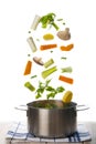 Fresh vegetables falling into a pot isolated on a white background Royalty Free Stock Photo