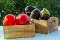 Fresh vegetables, tomatoes and aubergines,eggplant Royalty Free Stock Photo