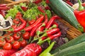 Fresh vegetables: tomatoes, cucumbers, lettuce, peppers, champignons in the basket at the street farm market Royalty Free Stock Photo