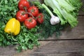 Fresh vegetables: tomatoes, pepper, an onions, garlic, a coriand