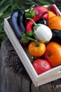 Fresh vegetables, tomatoes, peppers, aubergines, chilli pepper in a wooden box on a stump in the open air in the garden. Royalty Free Stock Photo