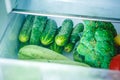 Fresh vegetables, tomatoes, peppers, cucumbers, broccoli, squash, zucchini in the refrigerator drawer for vegetables Royalty Free Stock Photo