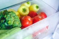 Fresh vegetables, tomatoes, peppers, cucumbers, broccoli, squash, zucchini in the refrigerator drawer for vegetables Royalty Free Stock Photo