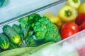 Fresh vegetables, tomatoes, peppers, cucumbers, broccoli, squash, zucchini in the refrigerator drawer for vegetables Royalty Free Stock Photo