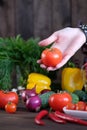 Fresh vegetables: tomatos, cucumbers, peppers, onions Royalty Free Stock Photo