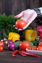 Fresh vegetables: tomatos, cucumbers, peppers, onions Royalty Free Stock Photo