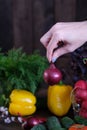 Fresh vegetables: tomatos, cucumbers, peppers, onions Royalty Free Stock Photo