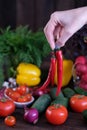 Fresh vegetables: tomatos, cucumbers, peppers, onions Royalty Free Stock Photo