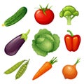 Fresh vegetables. Vegetable icon. Vegan food. Cucumber, tomato, broccoli, eggplant, cabbage, peppers, peas, carrots, onions