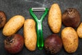 Fresh vegetables and vegetable peelings