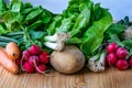 Fresh vegetables Royalty Free Stock Photo