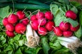 Fresh vegetables Royalty Free Stock Photo