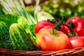 Fresh vegetables in weaved basket Royalty Free Stock Photo