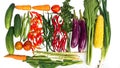 Fresh vegetables with white background. Chili, corn, eggplant, mustard greens, carrots, tomatoes, cucumbers