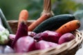 Fresh vegetables Royalty Free Stock Photo