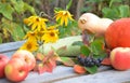 Fresh vegetables on wooden background. bright orange pumpkin, Autumn fruit background. Autumn Thanksgiving seasonal