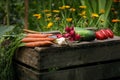 Fresh vegetables on a wooden box in the home garden. Green background from flowers and grass. Organic fresh vegetables. Carrots, c Royalty Free Stock Photo