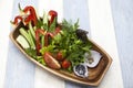 Fresh vegetables on a wooden plate. Red pepper, tomato, cucumber, radish, parsley, dill healthy diet. Royalty Free Stock Photo