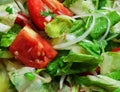 Fresh vegetarian salad. Lettuce green leaves, rough cut red tomato and onions. Royalty Free Stock Photo