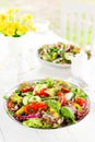 Fresh vegetarian vegetable salad with tomato, onion, cucumber, pepper, basil and lettuce. Salad on plate Royalty Free Stock Photo