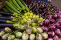 Fresh veggie basket from the Colaba Market farmer`s market: onions, aubergines, scallions, shallots, lady`s fingers Royalty Free Stock Photo