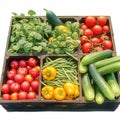 Fresh veggies in market basket tomatoes, cucumbers, eggplants, beans Royalty Free Stock Photo