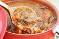 Fresh Venison Stew Royalty Free Stock Photo