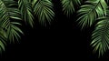 Fresh, verdant coconut or date palm leaves. Intricate textures and shades of green. Isolated on black