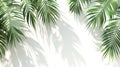 Fresh, verdant coconut or date palm leaves. Intricate textures and shades of green. Isolated on white.