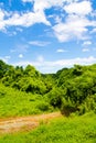 Fresh verdure against blue sky with clouds Royalty Free Stock Photo