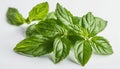 Fresh and vibrant basil leaves, ready for culinary delight!