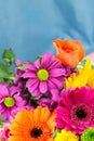 Fresh vibrant brightly coloured florist flowers. Copy space. Royalty Free Stock Photo