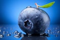 Fresh and vibrant close up of juicy ripe blueberry fruit isolated on a captivating blue background