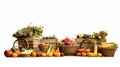 Fresh and vibrant fruit baskets beautifully arranged on a clean white background