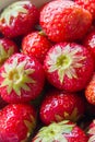 Fresh vibrant and healthy strawberries