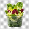 Fresh vibrant mixed salad greens in a clear plastic container ready for healthy eating Royalty Free Stock Photo