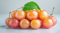 Fresh, vibrant, pale orange-pink cherries Royalty Free Stock Photo